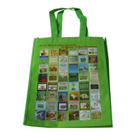 沈阳LB11覆膜无纺布广告袋